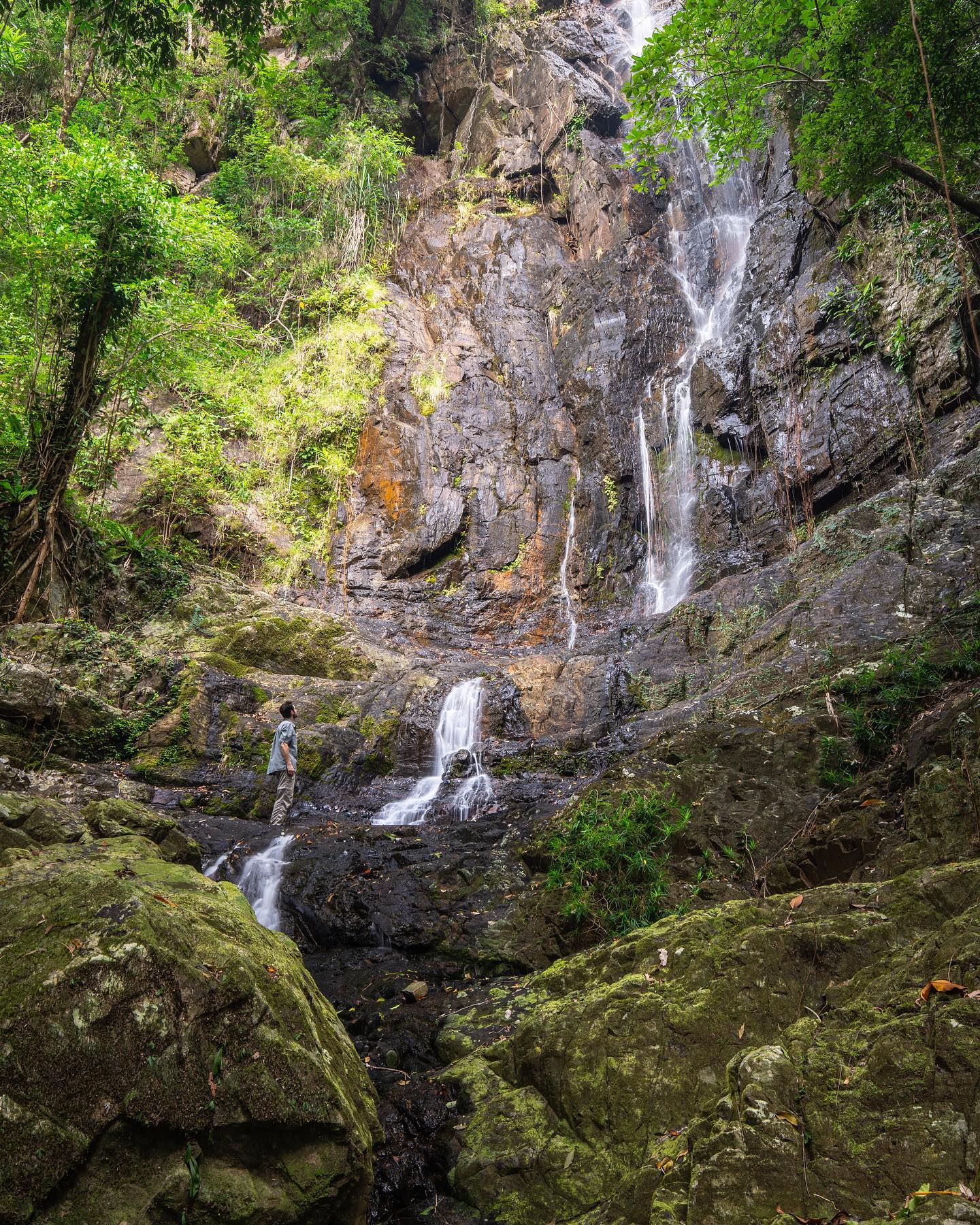 Daintree Waterfall Hike with Lunch and River Cruise