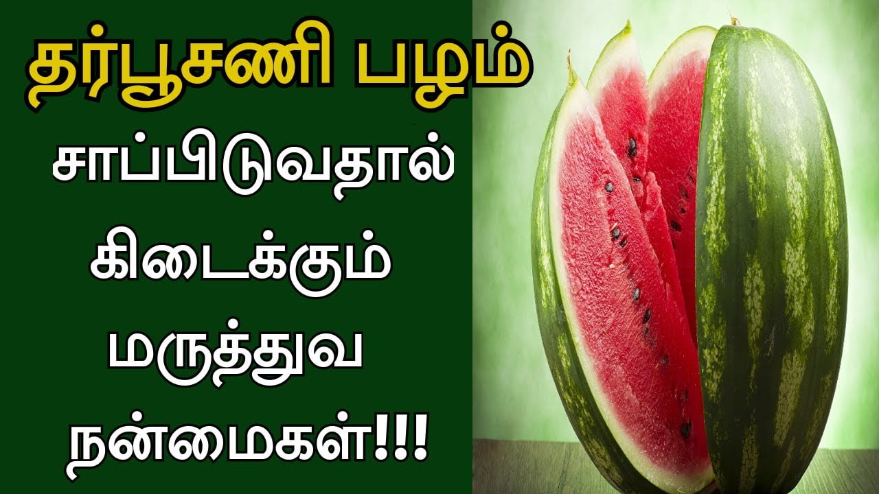 தர்பூசணியின் பயன்கள் Watermelon Benefits In Tamil Thedalweb