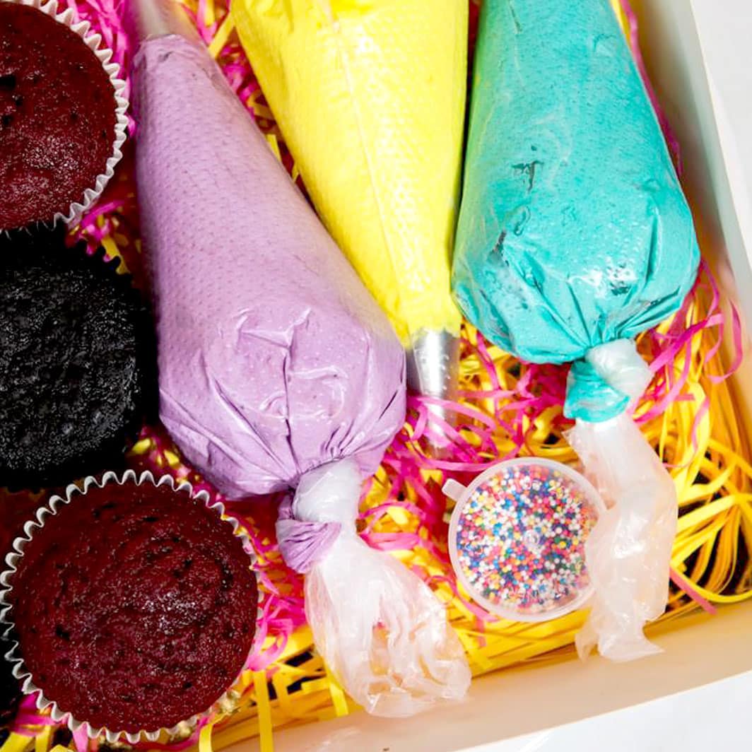 Cupcake Decorating Kit