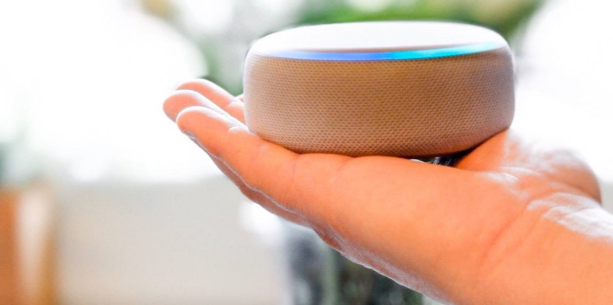 How to setup and use the dropin function on Amazon Echo devices The Dog House