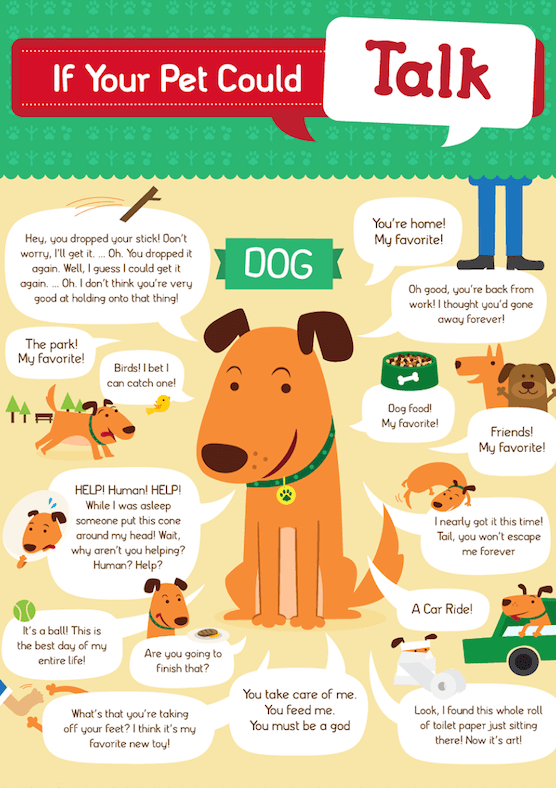 Should You Talk To Your Dog