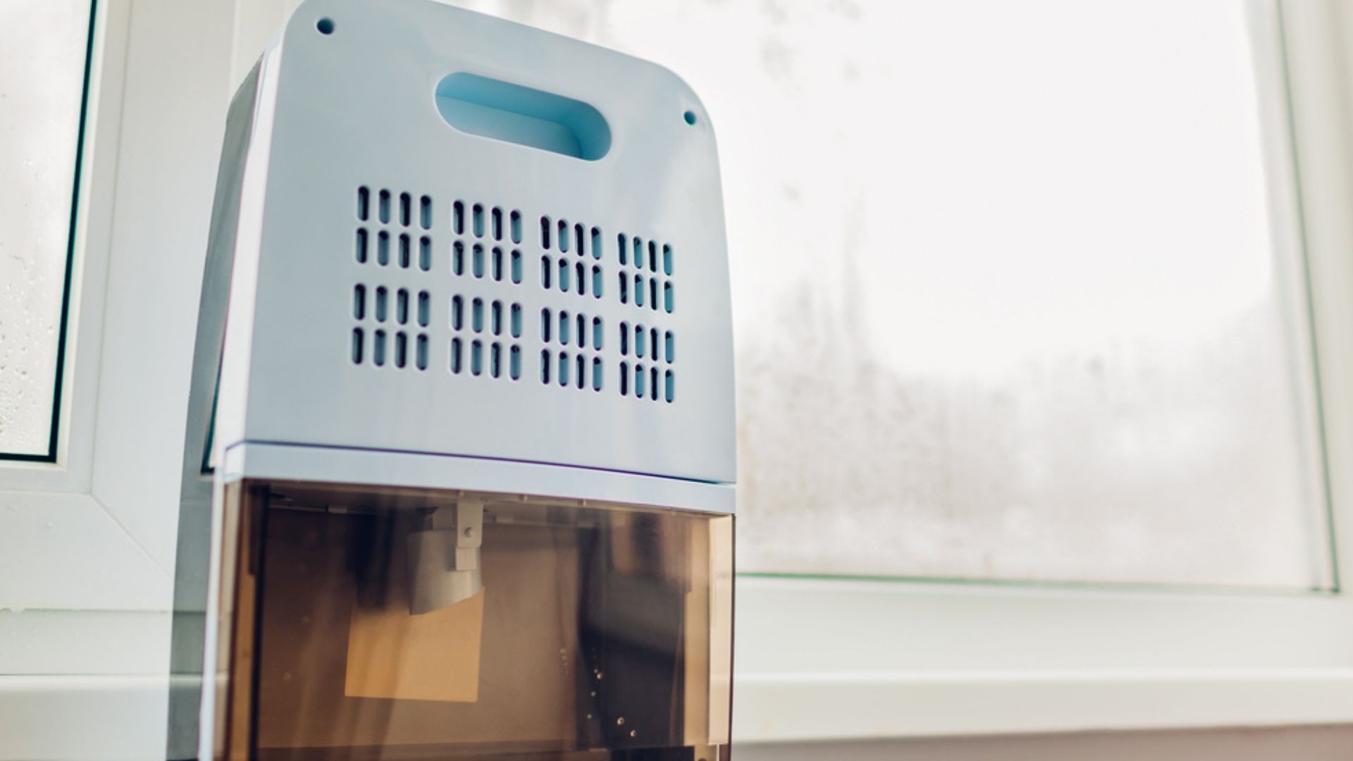 Best Dehumidifiers for RVs (Review & Buying Guide) in 2022