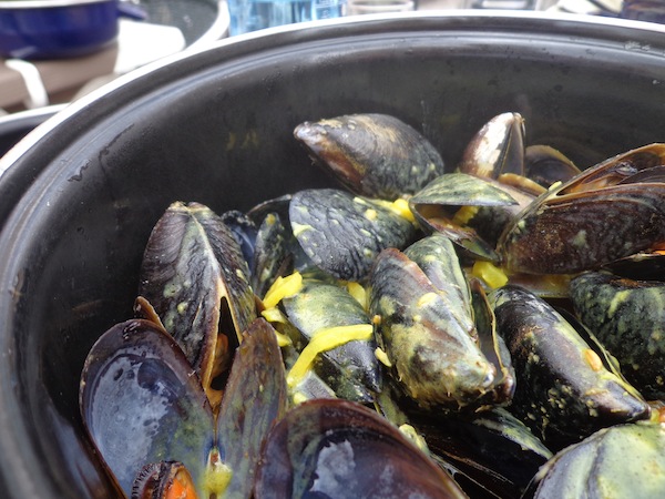 Moules in Provence