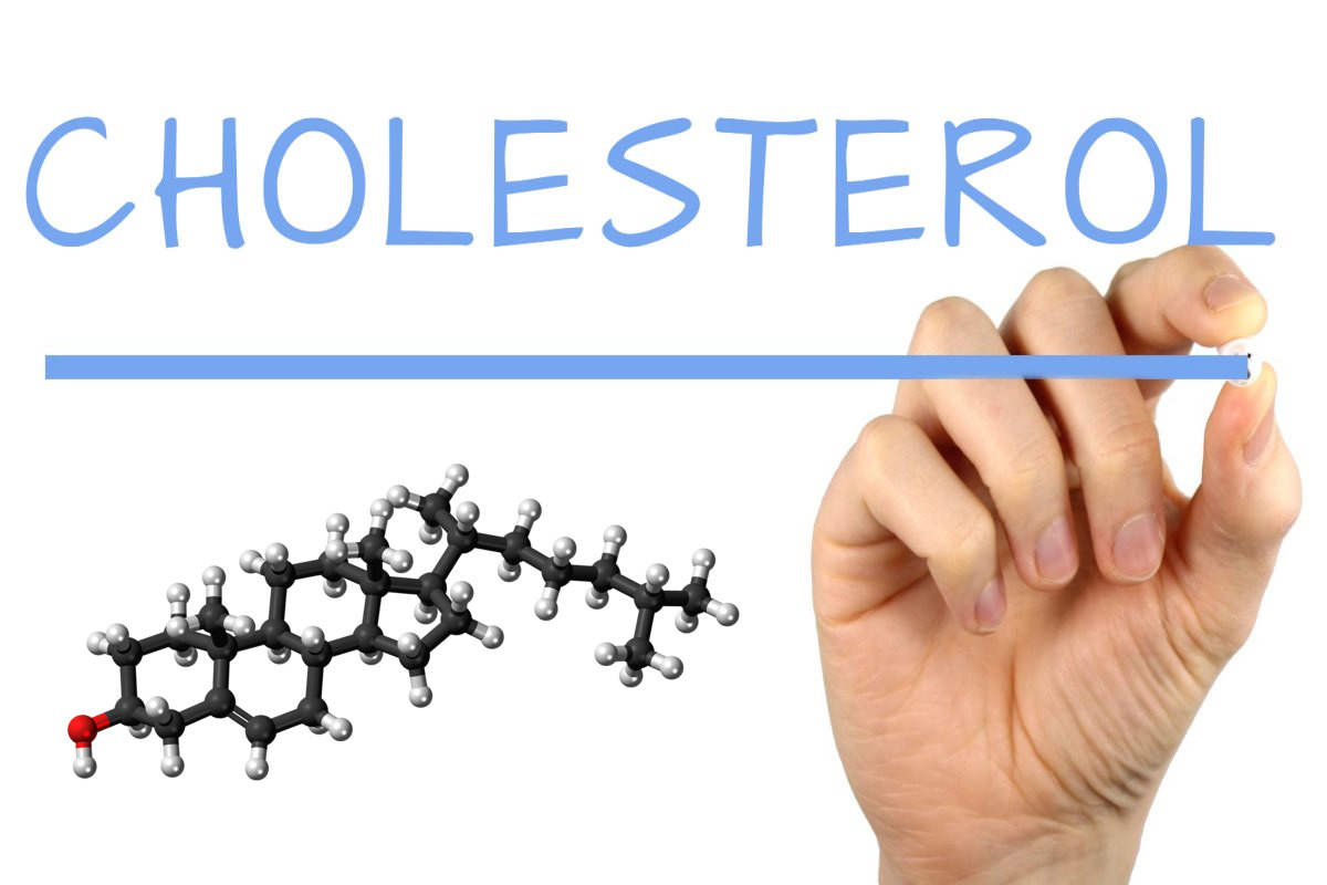 Could Cholesterol Protect Your from Cancer?