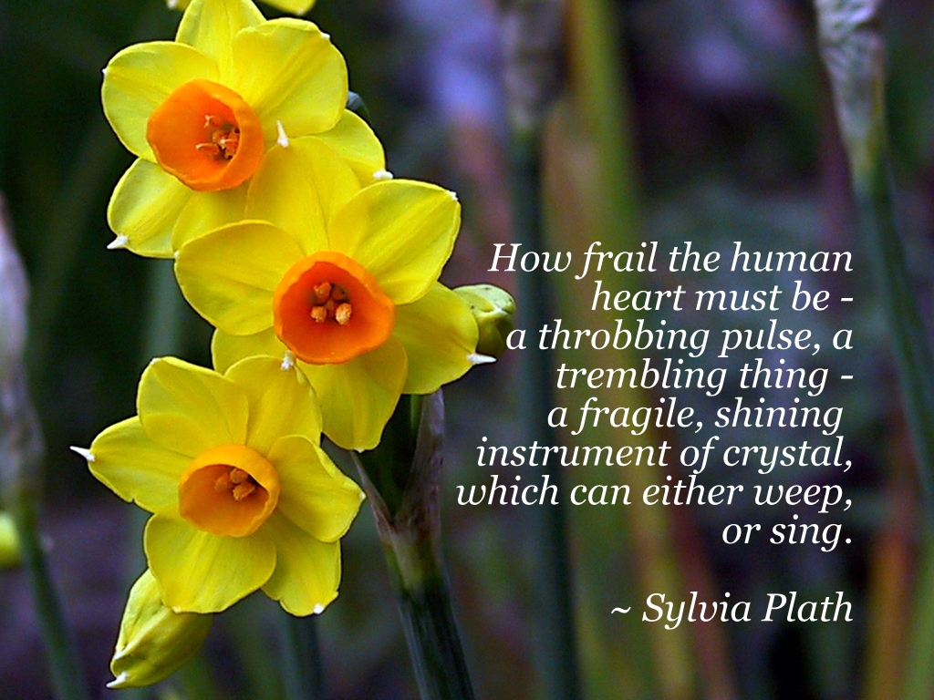 Quotes and thoughts for the day Page 93 TheEasyGarden Easy, Fun