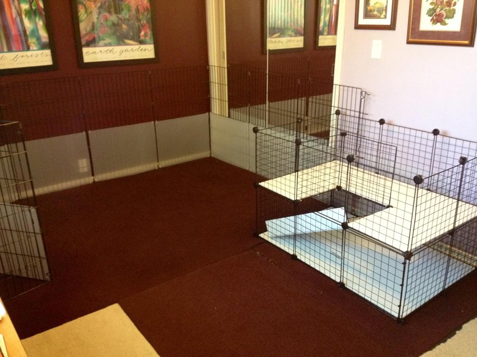 Rabbit Cages and other terrible ideas