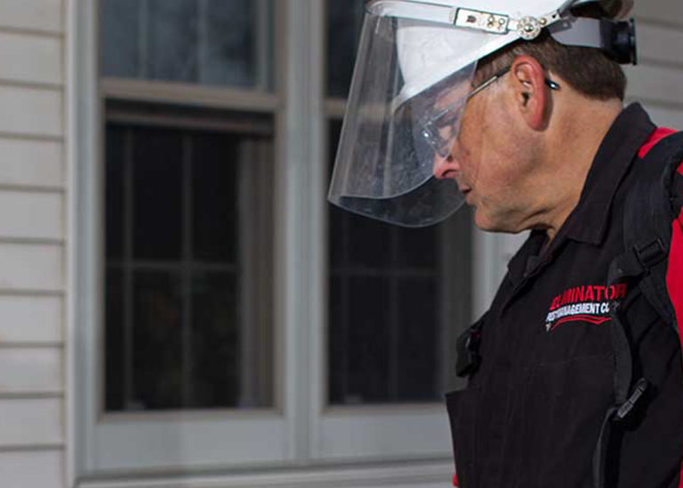 Pest Control Services in Fond du Lac, Oshkosh, Appleton
