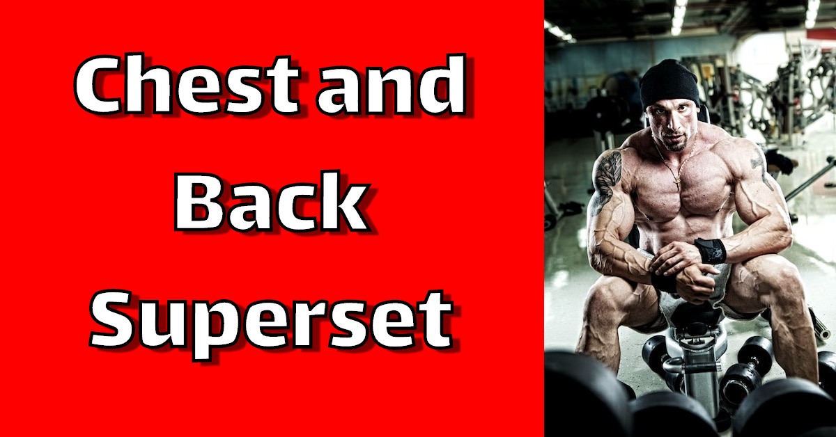 Chest and Back Superset The Elite Trainer