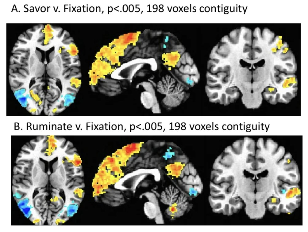 Rumination vs. Savoring The Neural Dynamics Between Positive and Negative Thinking