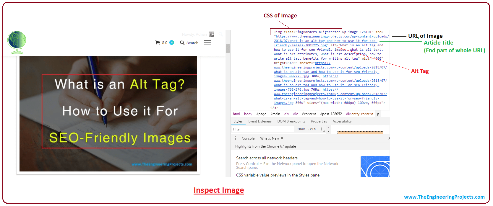 What is an Alt Tag? How to use it for SEOFriendly Images The