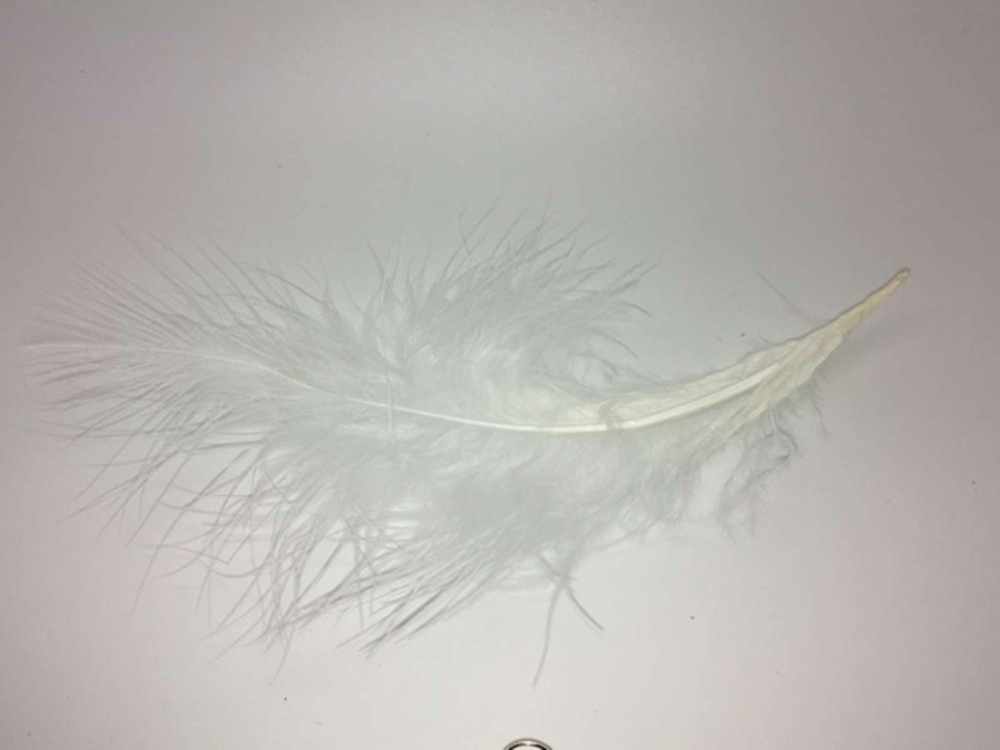 Turkey Feathers Feathers For Fly Tying