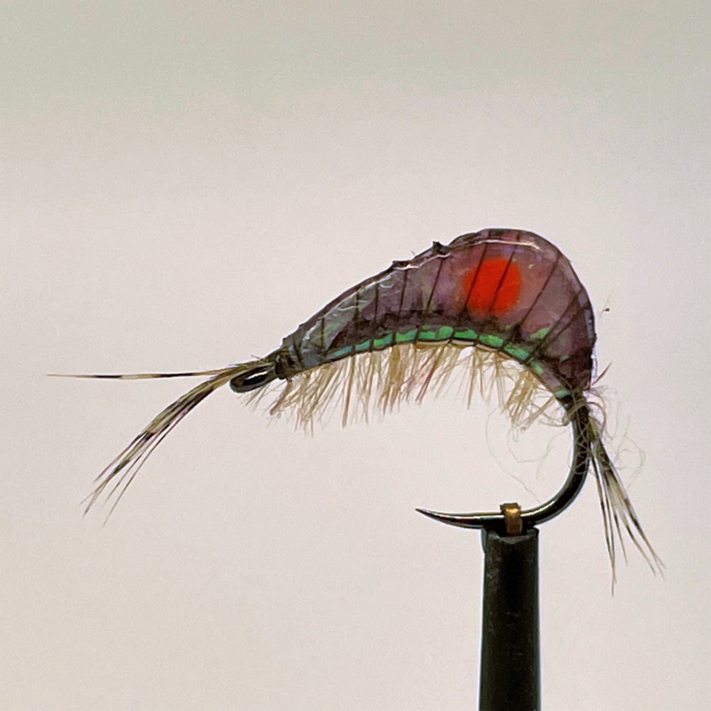 Gammarus Pulex Freshwater Shrimp Trout Flies