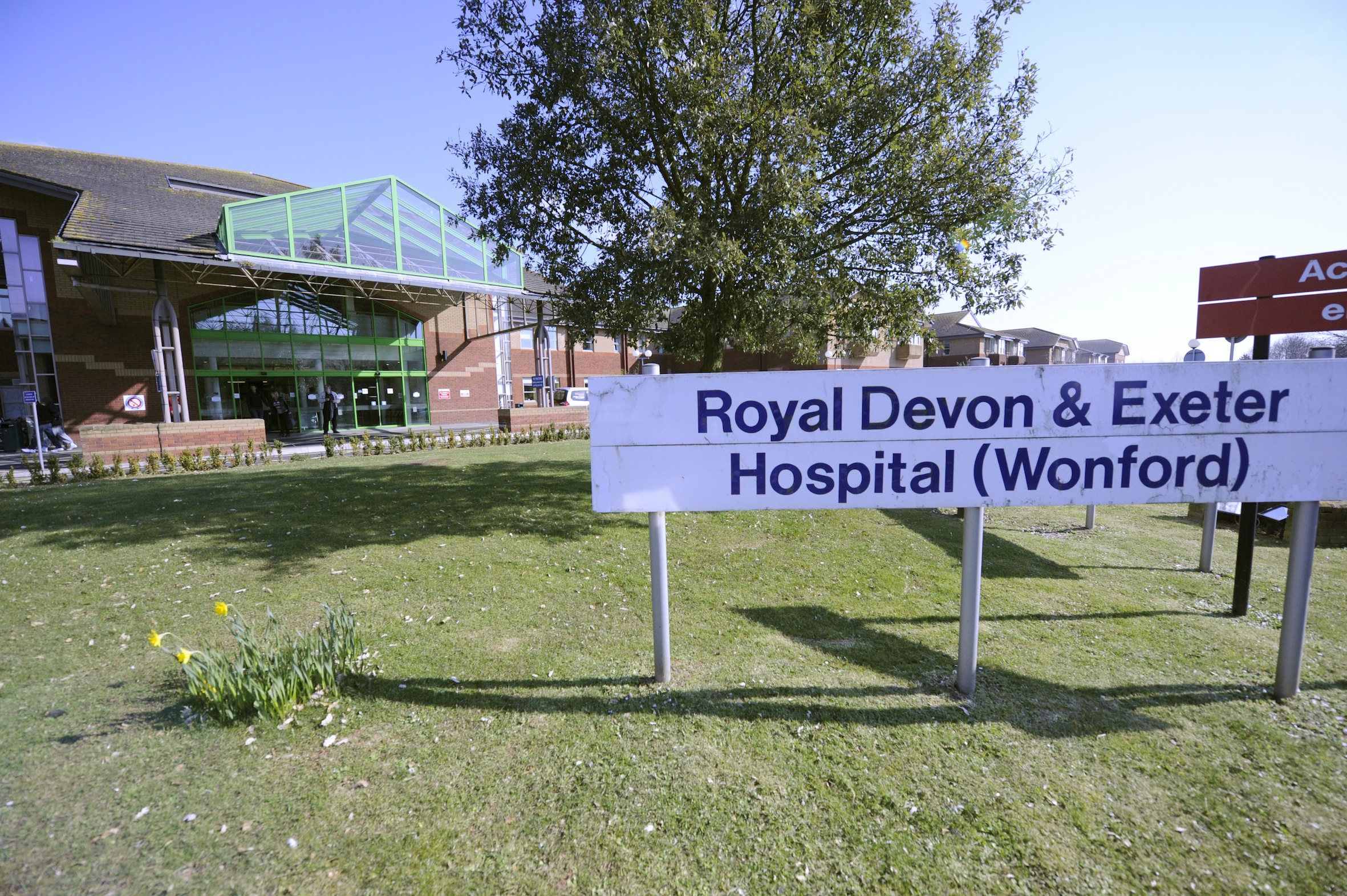 International Clinical Trials Day at the RD&E The Exeter Daily