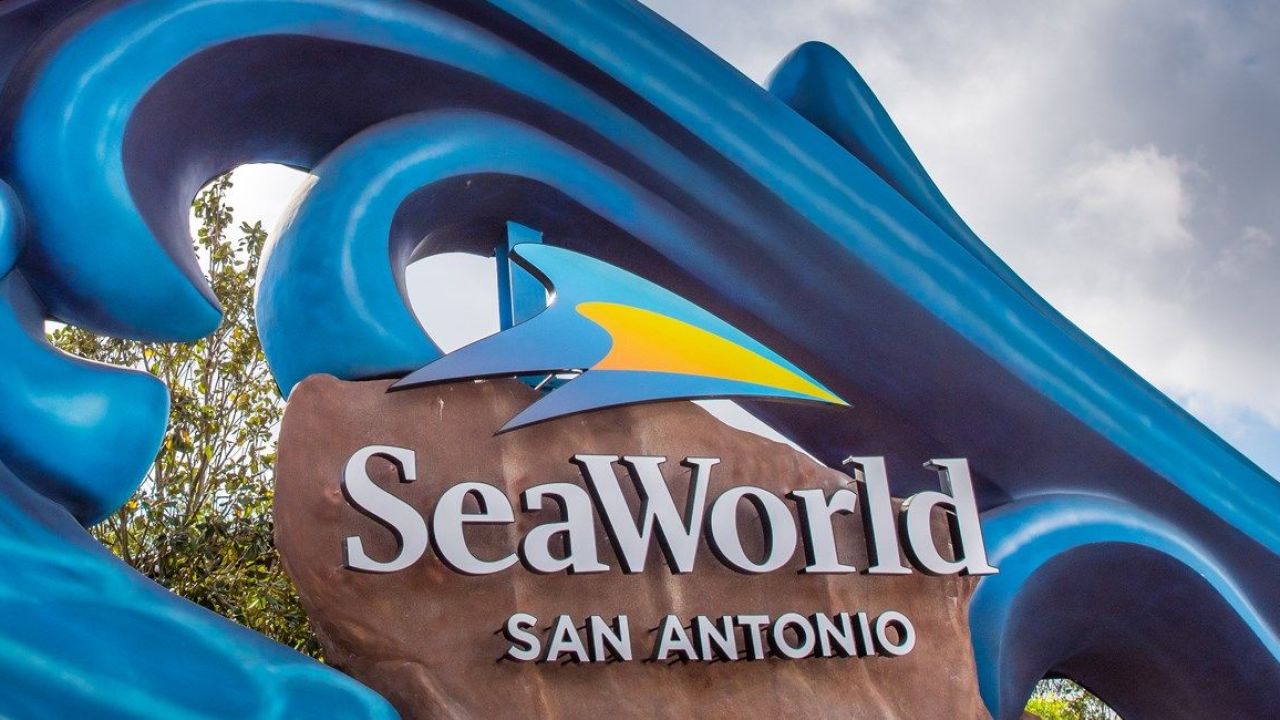6 of the Best Hotels Near SeaWorld San Antonio The Family Vacation Guide