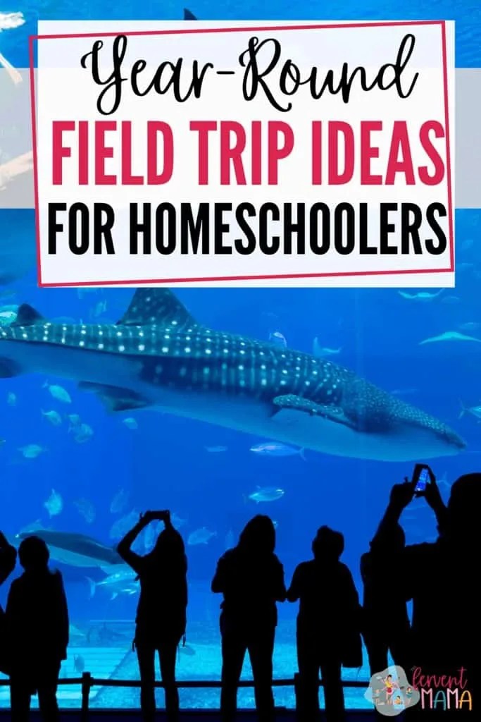 Fun YearRound Field Trip Ideas for Homeschoolers Right In Your Backyard