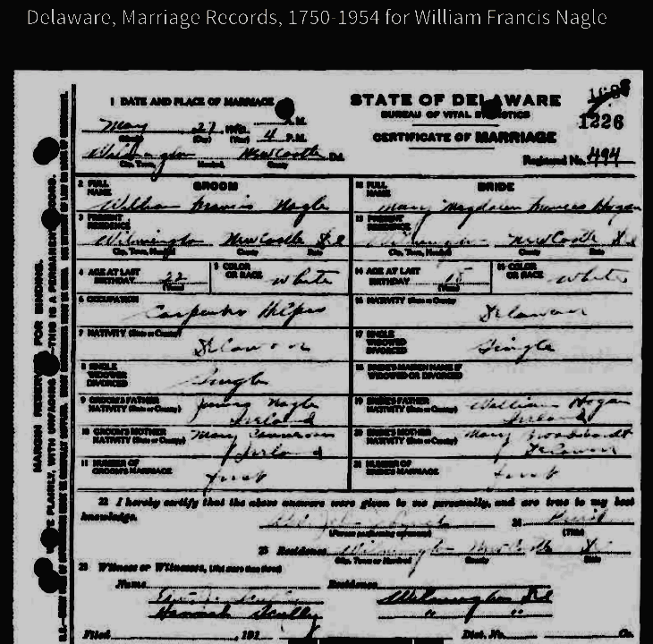 Vital/Census Delaware, Goal 3