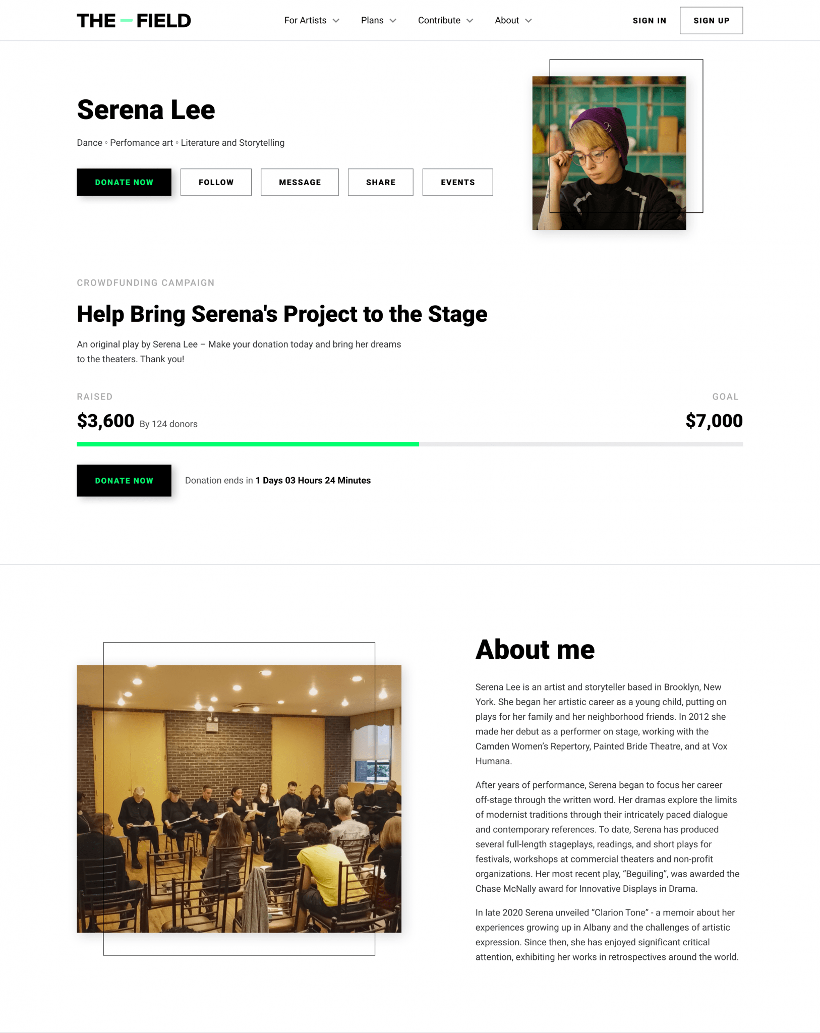 Free Artist Profile The Field