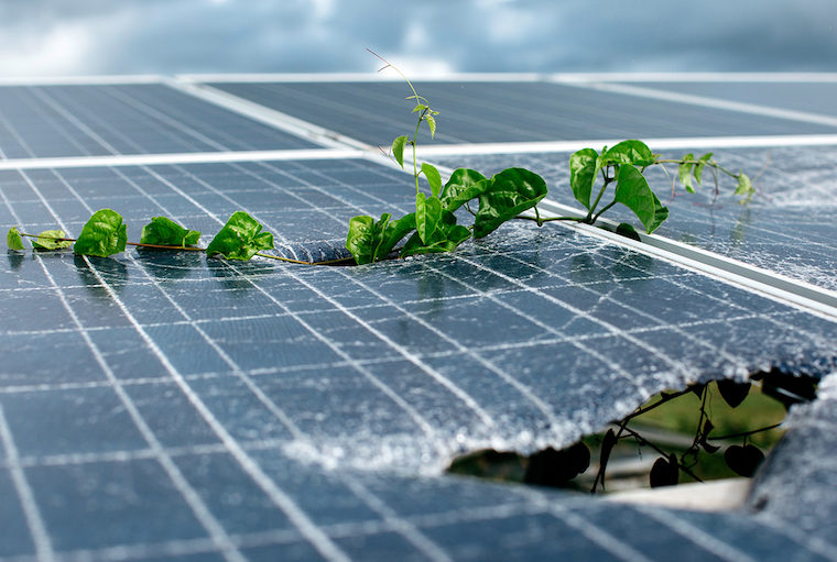 Putting the brakes on Australia�s escalating solar panel Putting the brakes on Australia�s escalating solar panel