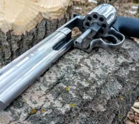Wheelgun Wednesday What Makes a Great Pest Control Revolver?...The
