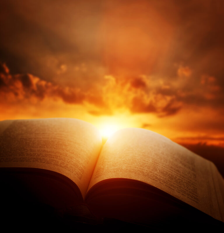 Why were some books left out of the Bible