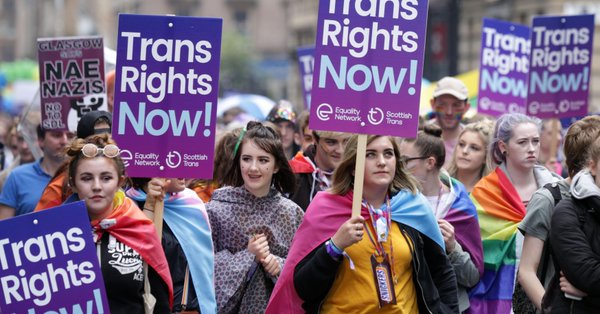 Majority opt for self declaring gender in government consultation Focus