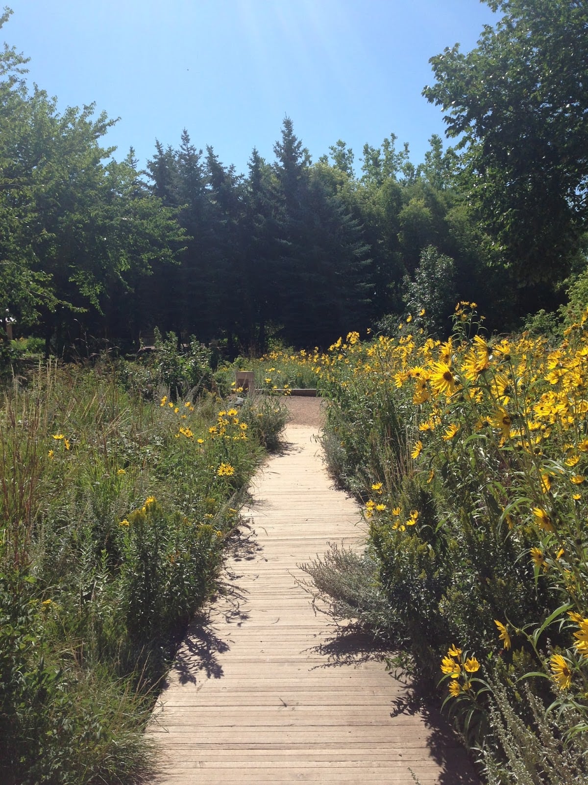 Prairie Garden at The Forks The Forks