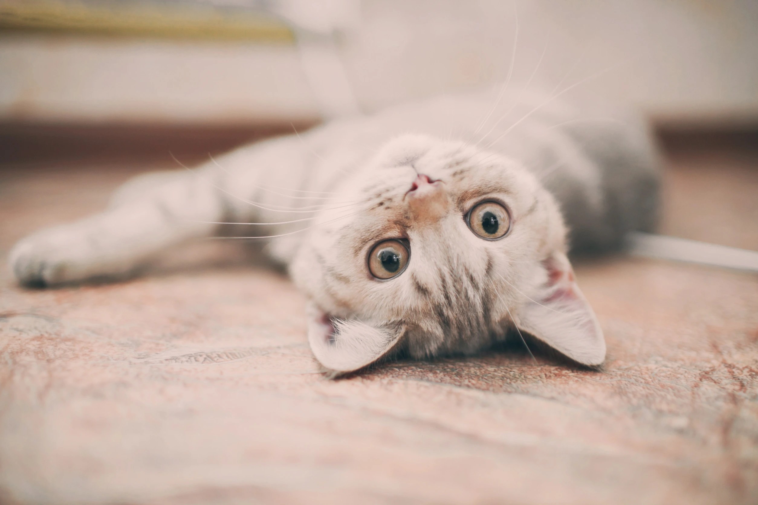 The Evolution of Slang 10 Old Slang Terms Explained