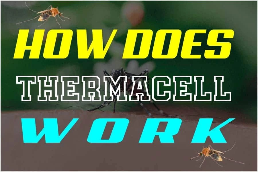 How Does Thermacell Work?Understand Thermacell Technology