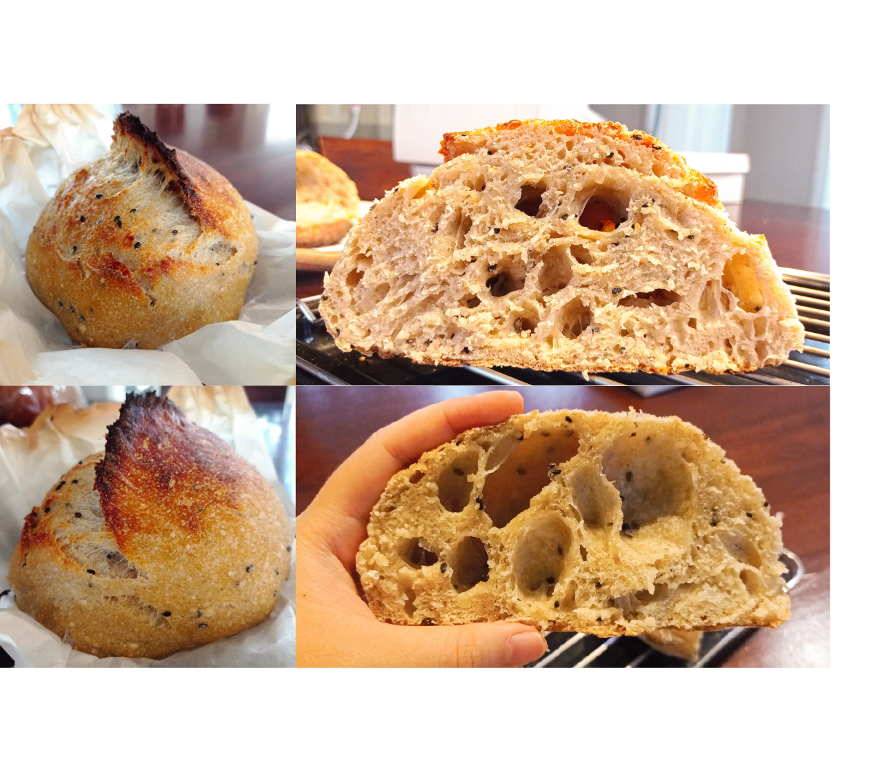 First Sourdough Bread The Fresh Loaf