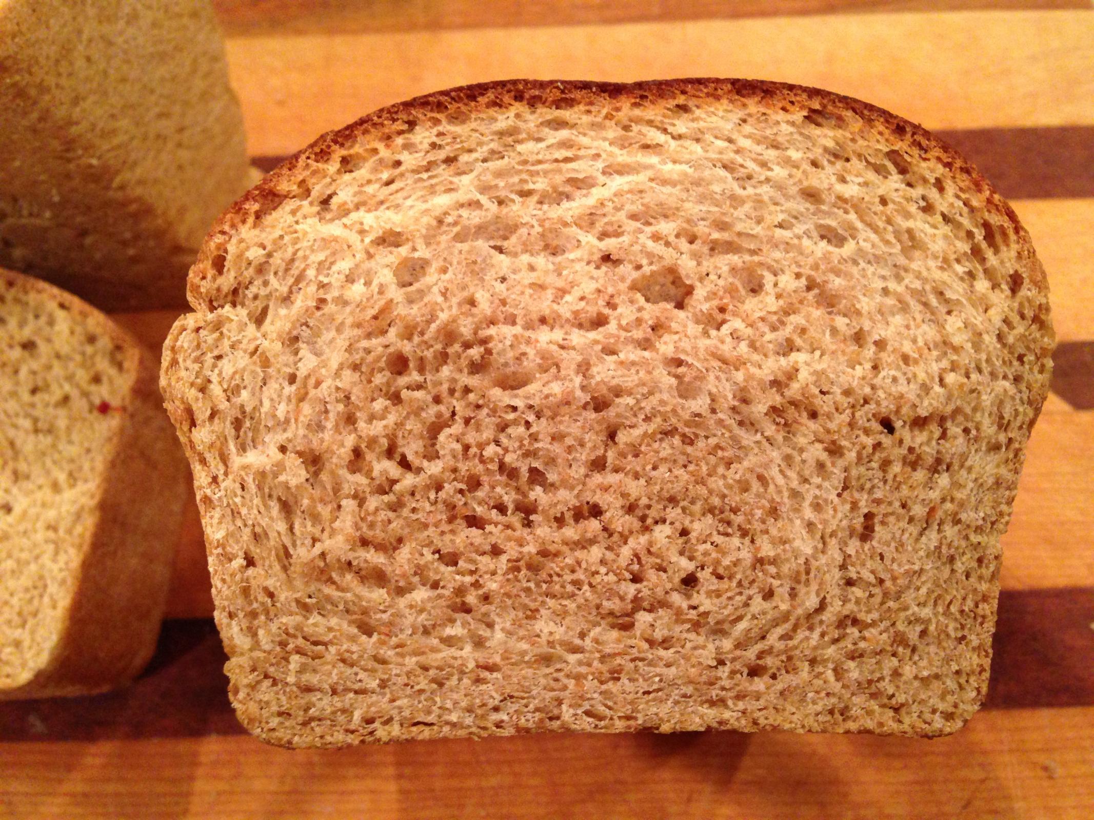Wheat Sandwich Bread for everyday my 5 kids love it The Fresh Loaf