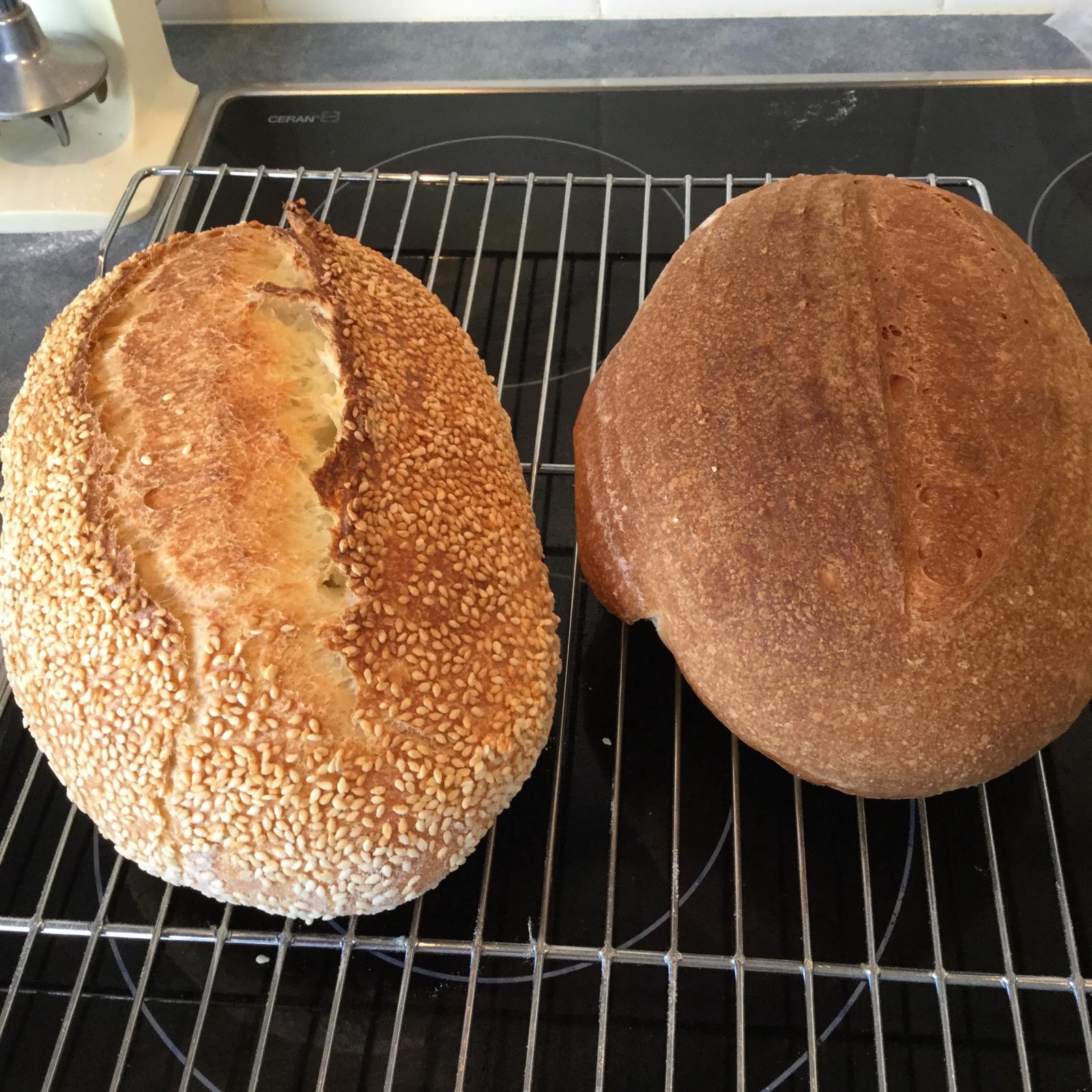 Hamelman's Semolina bread The Fresh Loaf