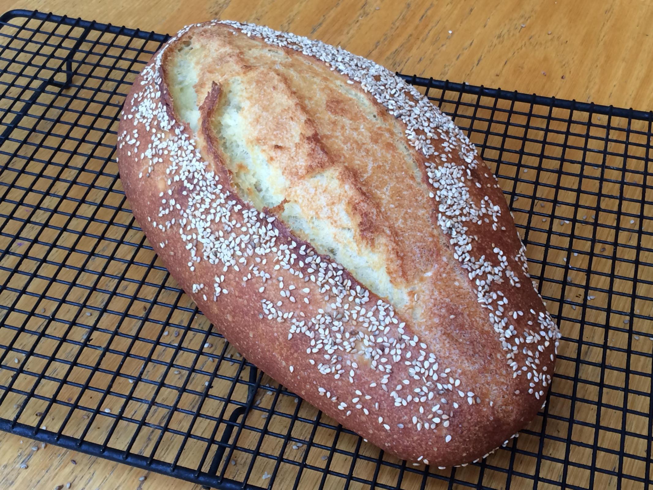 Tom Cat's semolina Filone The Fresh Loaf