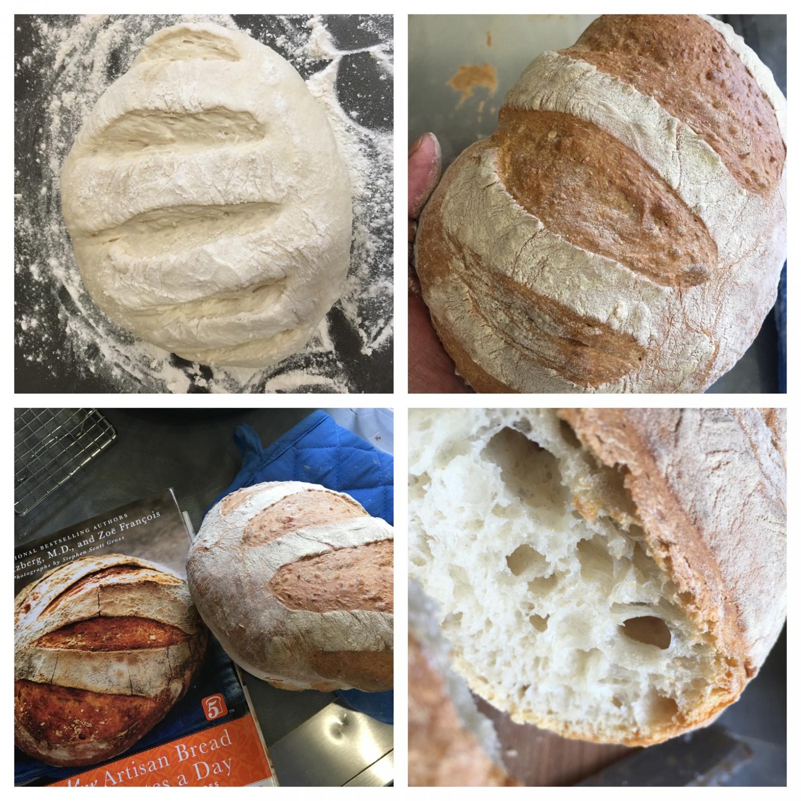 Boule from Artisan Bread in 5 The Fresh Loaf