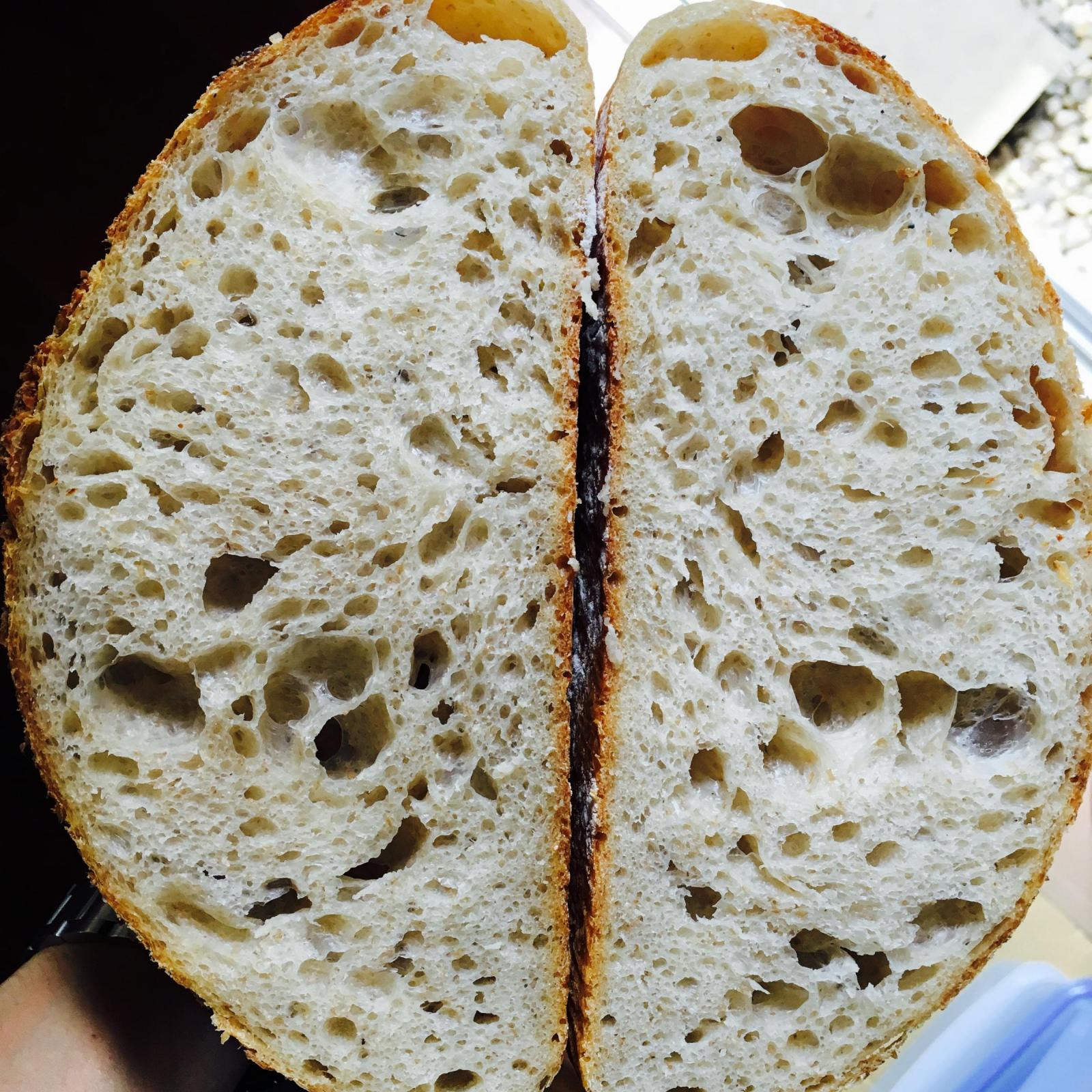 Fresh from the oven The Fresh Loaf