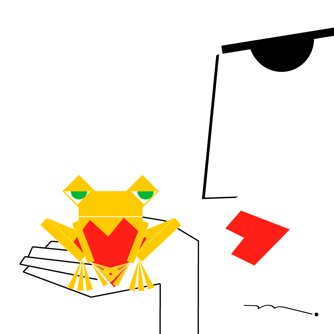 How many frogs do I have to kiss? The Frog Project