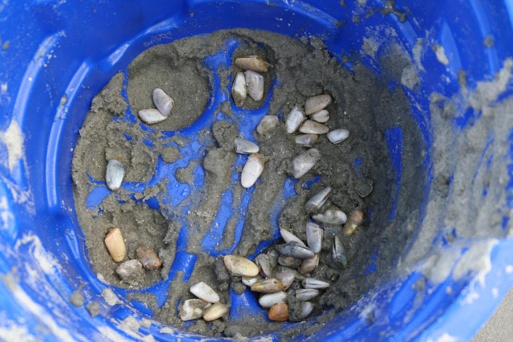 How to save money in Myrtle Beach, Part II The Frugal Girl