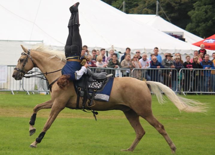 Displays galore at “The World’s Most Famous Horse Show” The Gaitpost