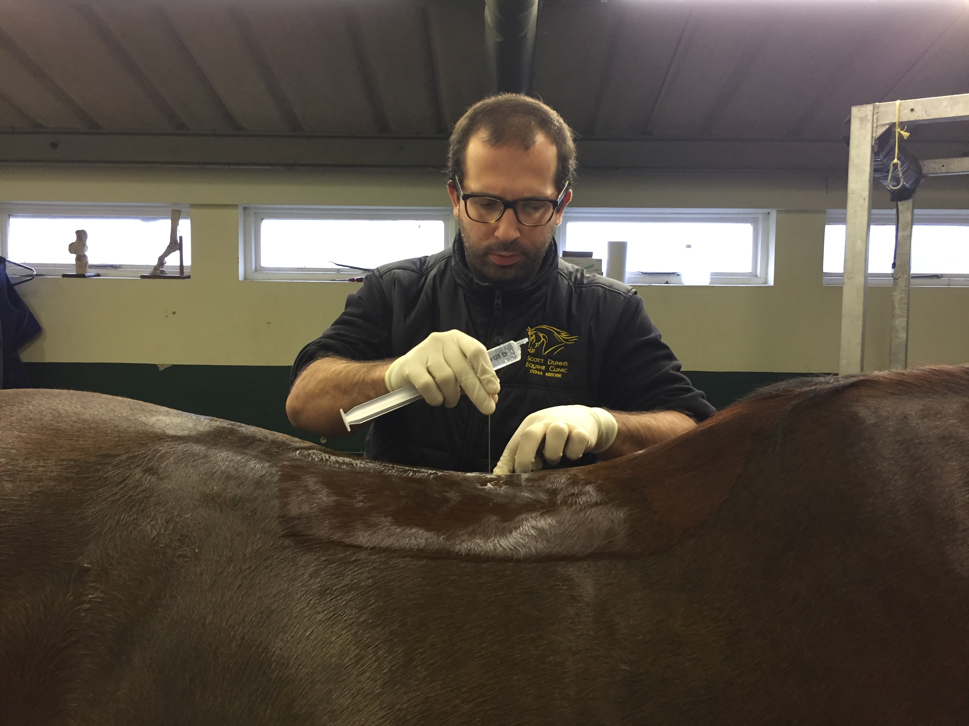 Sarapin Injection For Horses