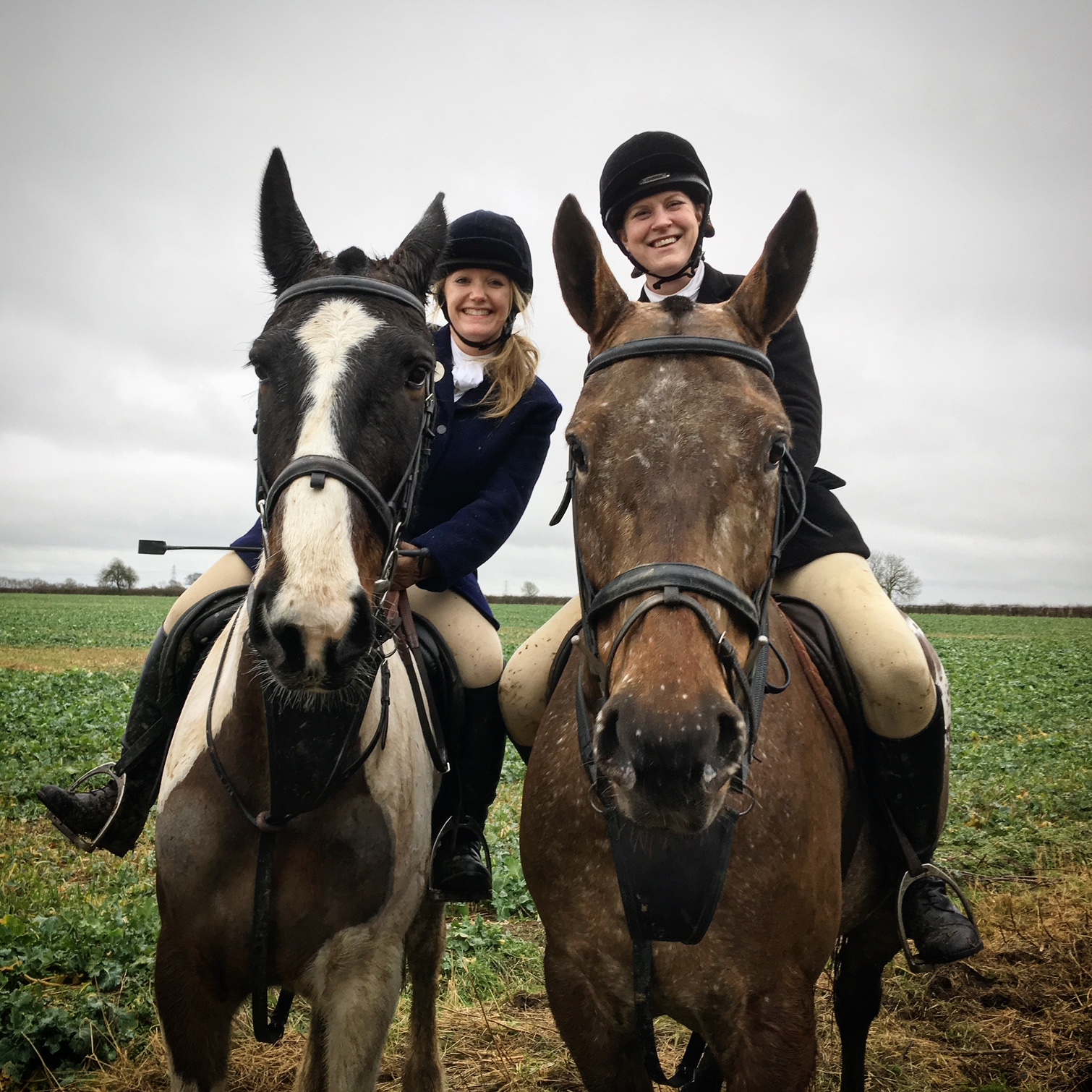 Kat Brown 5 fabulous horse things I did from London Blogs The Gaitpost