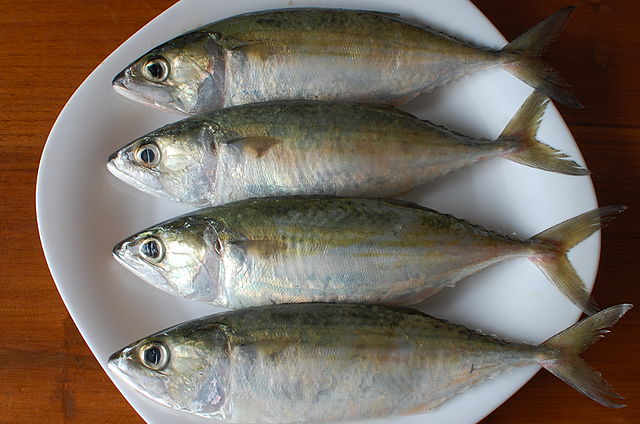 Ayala Fish in English Mackerel Health Benefits Mackerel in Tamil, Hindi