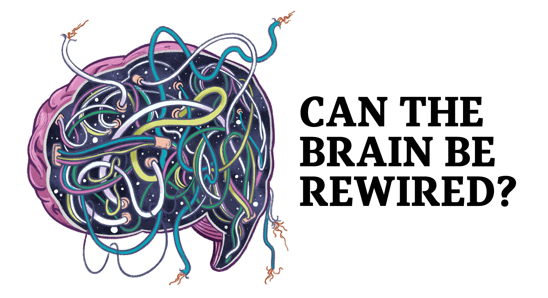 Deconstructing neuroplasticity Can you rewire the human brain? The
