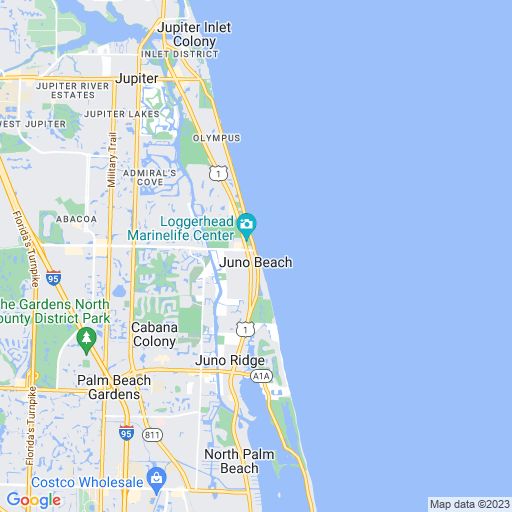 Team Building In Juno Beach The Go Game