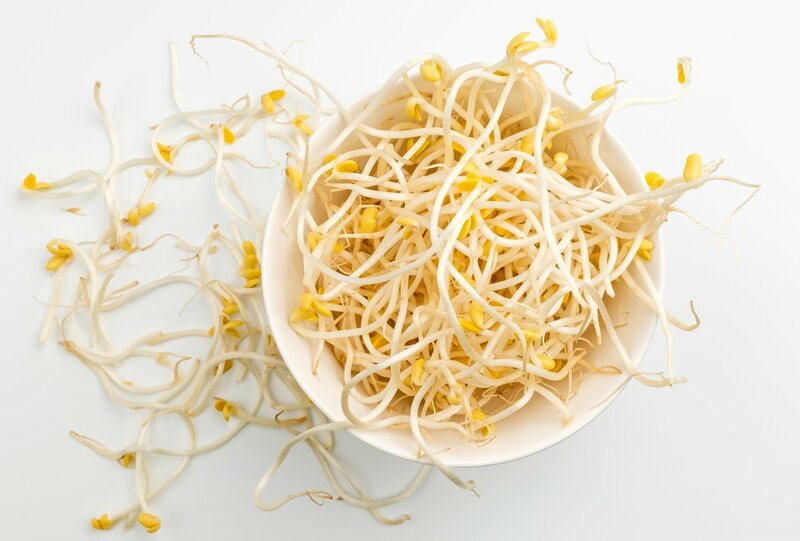 Can Dogs Eat Bean Sprouts? Is It Safe? The Goody Pet