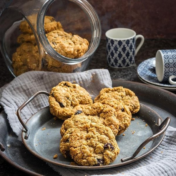 Can Dogs Eat Oatmeal Cookies? Here's Why They Should Avoid The Goody Pet