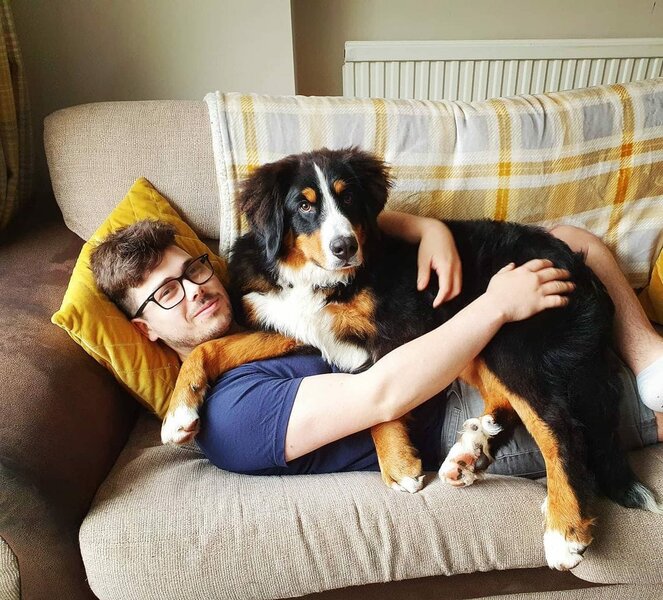 Does Your Dog Love You? 22 Ways Dogs Show Love The Goody Pet