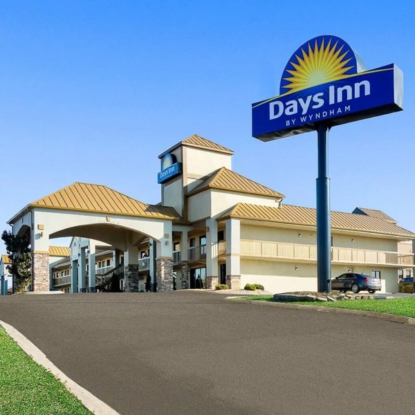 38 PAWSOME Dog Friendly Hotel Chains in USA [2023] The Goody Pet