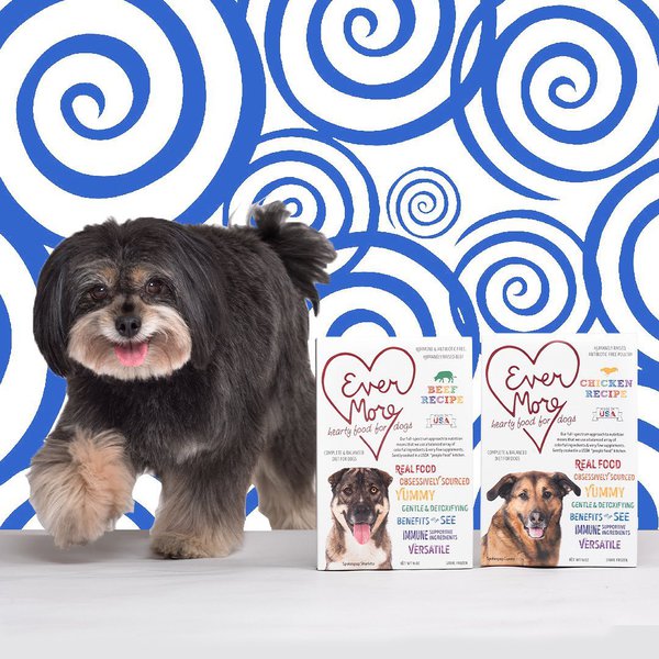 22 Fresh Dog Food Delivery Brands To Pamper Your Beloved Pooch The