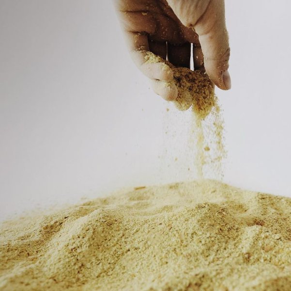 Cat Fleas 12 Effective Home Remedies To Try The Goody Pet