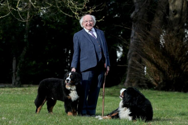 Irish President’s Dog Wins People’s Hearts During Live Press Address