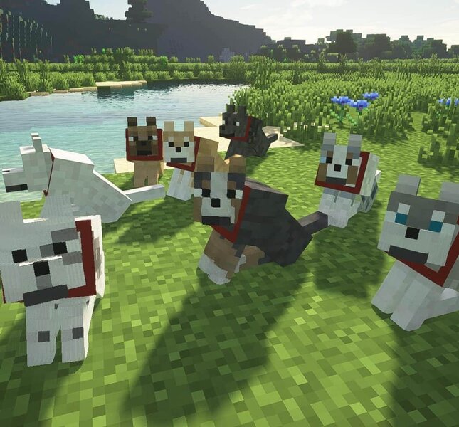 239 Minecraft Dog Names That Will Put A Smile On Steve The Goody Pet